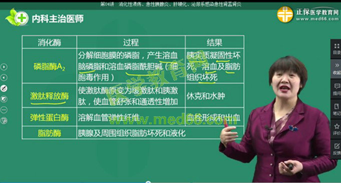 2、胰腺酶 2、胰腺酶