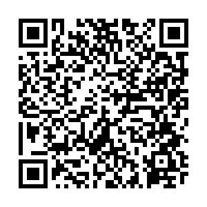 医师(总页面) 医师(总页面)