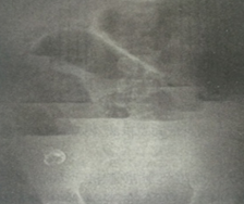 1577608924018-0 1577608924018-0