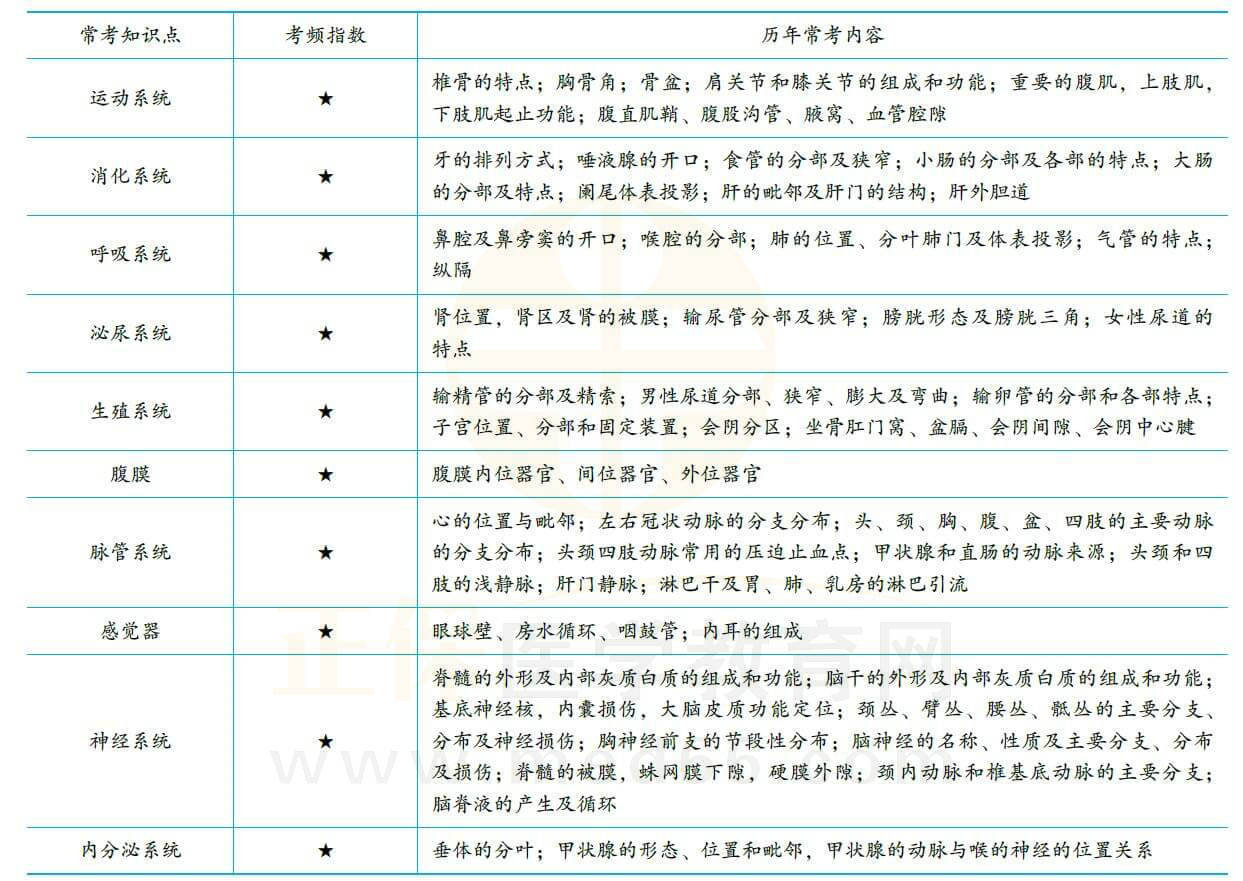 解剖学 解剖学