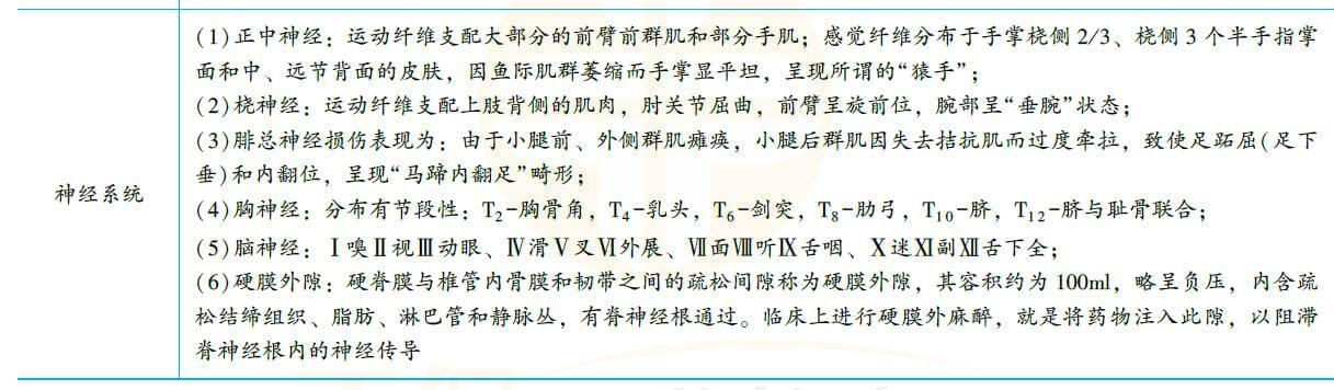 解剖学易错考点3 解剖学易错考点3