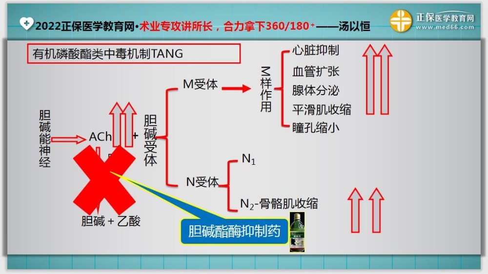 临床医师基础测试15-延伸 临床医师基础测试15-延伸
