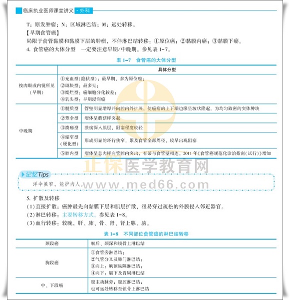 表格总结考点 表格总结考点