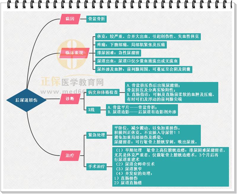 排尿护理思维导图图片