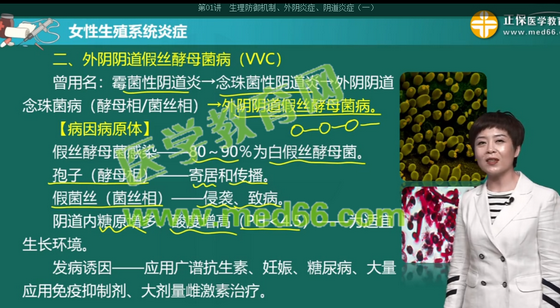 霉菌性阴道炎 霉菌性阴道炎