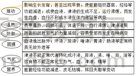 气的生理功能 气的生理功能