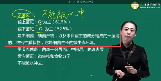 牙菌斑定义 牙菌斑定义