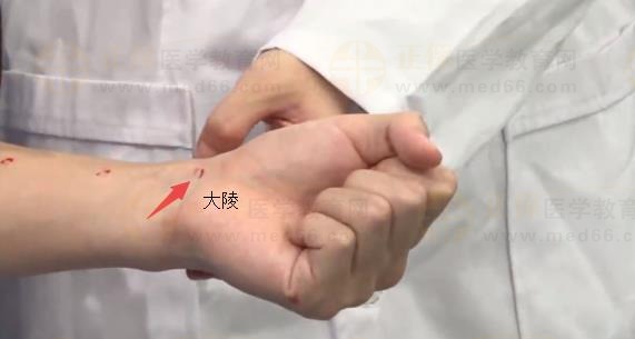 中西医助理医师实践技能针灸常用腧穴：手厥阴心包经（大陵）