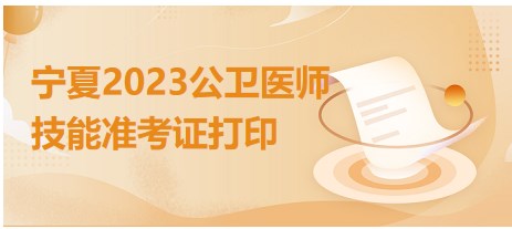 宁夏2023公卫医师技能准考证打印