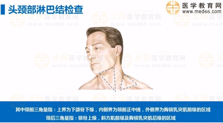 头颈部淋巴结检查2