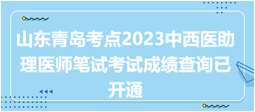山东青岛考点2023中西医助理医师笔试考试成绩查询已开通