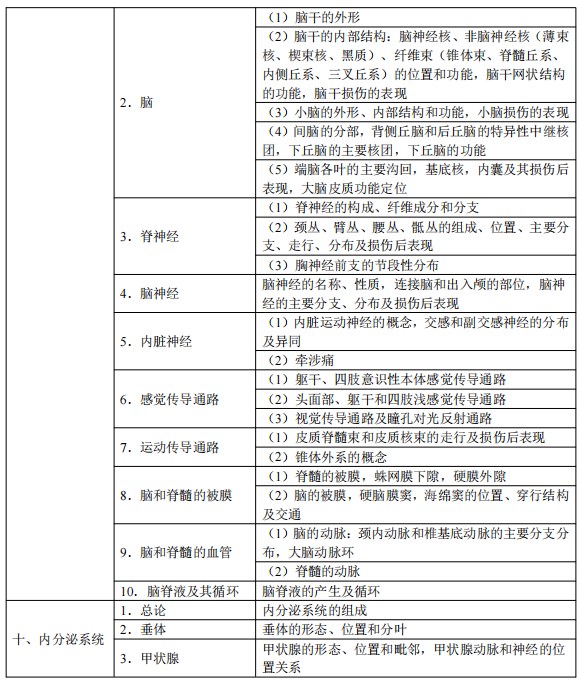 2024临床执业医师考试大纲-解剖学4