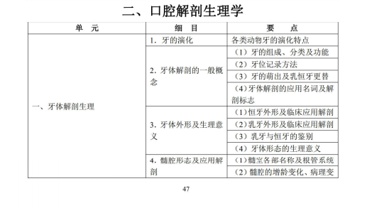 口腔解剖生理学1