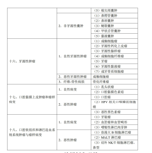 口腔组织病理学4 口腔组织病理学4
