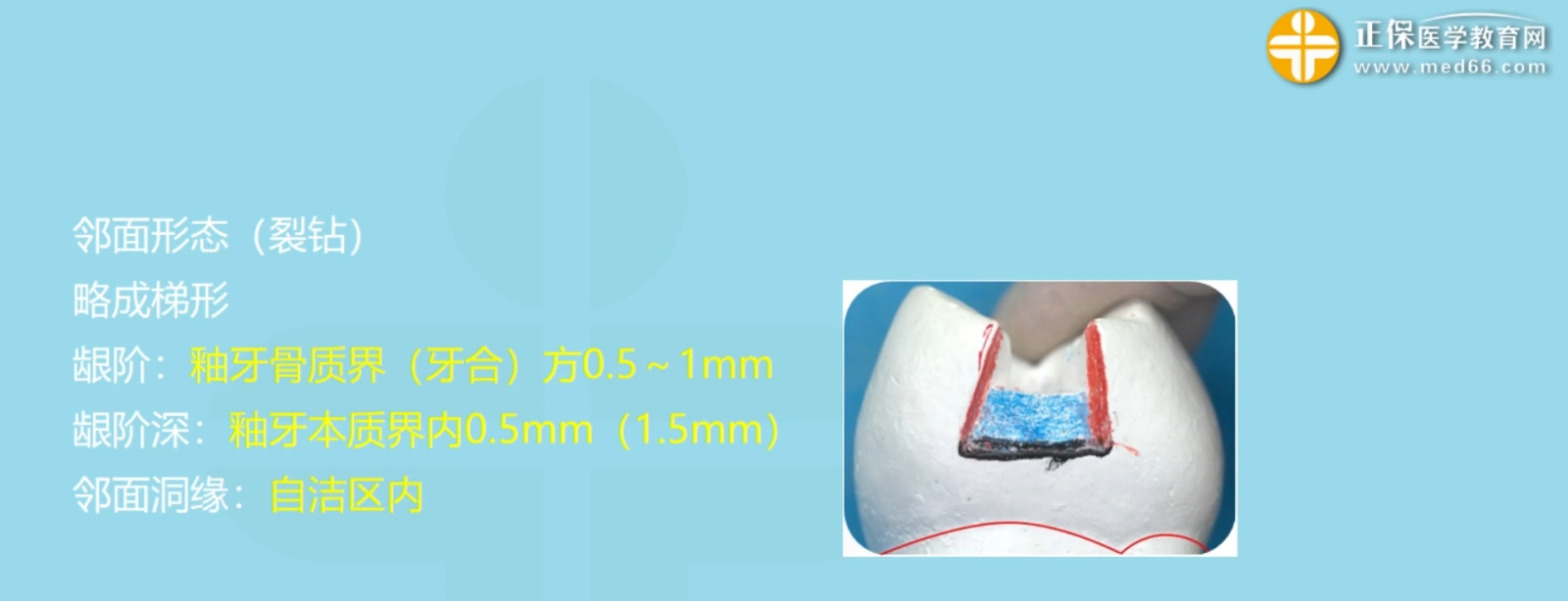 图片33 图片33