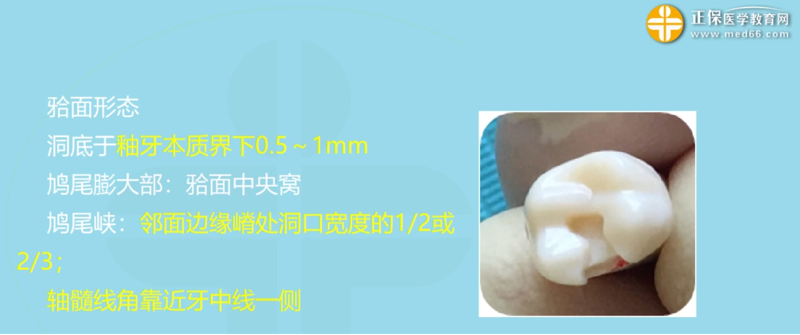 图片34 图片34