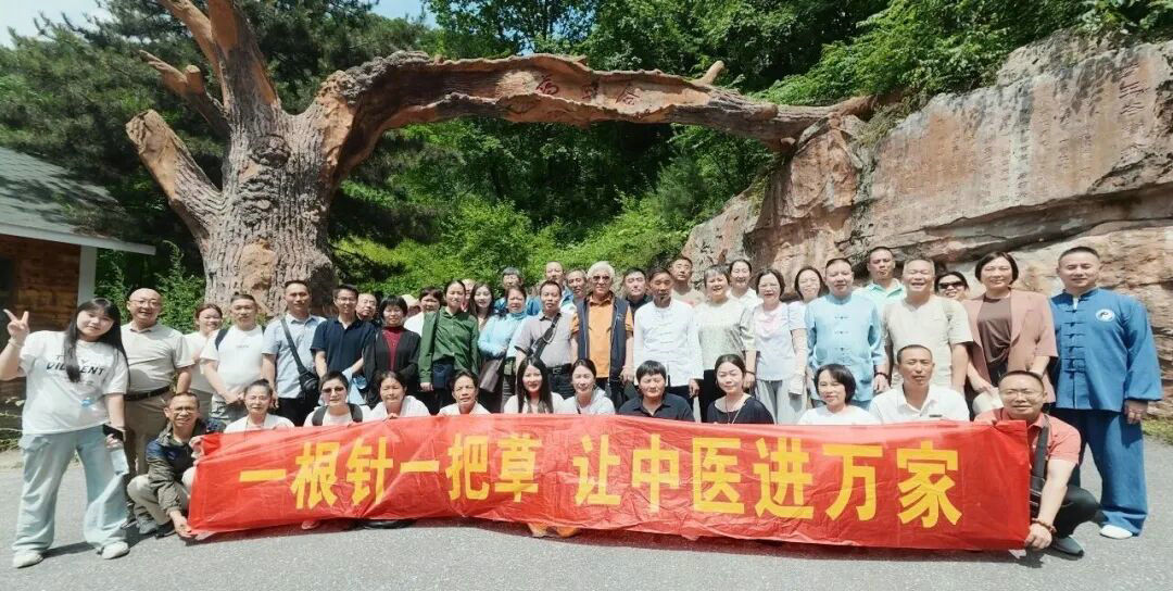 一根针传岐黄薪火，一把草润康养文旅